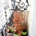 Charming Studio Near Montsouris Park